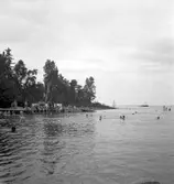 Furuviksparken invigdes pingstdagen 1936.

Nöjesfältet, badplatsen Sandvik och djurparken gjordes i ordning.

Badplatsen Sandvik

