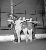 Furuvik
Folkdanslaget Furuviks Ungdomslag och Barnkabarén blev Furuviksbarnen.
Cirkusbyggnaden Teater-cirkus med ca 600 platser, uppförd 1940
Furuviksbarnen tränar inför turnén













