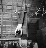 Furuvik
Folkdanslaget Furuviks Ungdomslag och Barnkabarén blev Furuviksbarnen.
Cirkusbyggnaden Teater-cirkus med ca 600 platser, uppförd 1940
Furuviksbarnen tränar inför turnén













