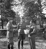 RÖDA STJÄRNAN
Föreningens ändamål - organiserad vård för djuren under krig. Med frivillig hjälp genom insamling av medel.
Att kunna hjälpa till med erforderlig veterinärhjälp och djurvård.





