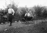 Roland Liljefors drar sina bröder Alf och Ingemar i en liten kärra , sannolikt i Sverige