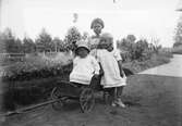 Marit Liljefors och två andra flickor med en liten kärra i trädgård, sannolikt i Sverige