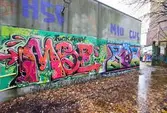 Graffiti på pappersbruket Papyrus fabriksområde i Forsåker, Mölndal, den 4/11 2014. Fotodokumentationen gjordes under perioden mellan pappersbrukets avveckling och områdets nyexploatering. Området var under denna tid populärt bland ungdomar som ville uttrycka sig konstnärligt med graffiti.
