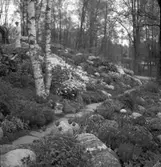 Stenparti i Stadsträdgården