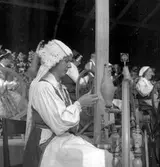 Bondeförbundet Årsstämma, Åby Gård. Bondeförbundets ordförande Axel Pehrsson-Bramstorp. Juni 1939


