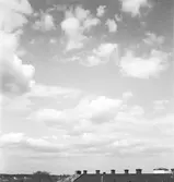 Konsum Alfa
utsikt från taket

