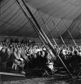 Altenburgs Cirkus

20 Juli 1945