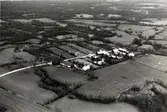 Flygfoto över Räpplinge.