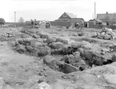 Sankta Ingrids kloster