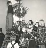 Barn som klär granen. Julen 1946.