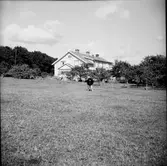 Ålderdomshemmet i Thårstorp, Veddige, med en glasveranda på gaveln. Nedanför byggnaden breder en trädgård ut sig och på åkern i förgrunden står en ko.
