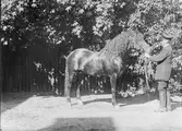 Lingqvist med häst, Uppsala 1902