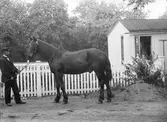 Man med häst utanför Ostis ateljé, Bredgränd 11, Uppsala före 1914