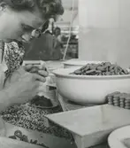 Interiör. Närbild på fabriksarbeterska från Hushållsporslisfabriken. Hänklar för koppar putsas och synas innan de fastsätts.
Personer: okänd