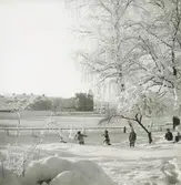 Exteriörbild, vinter. Daghemmet Blomkulan. Utomhuslek.
Personer: Sex okända barn.