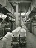 Interiörbild. Sanitetsporslinsfabriken. WC-stolar klara för bränning.
Personer: Fabriksarbetare.