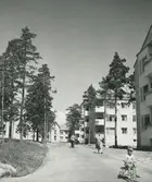 Exteriörbild. Hästhagen innan asfalteringen. Trevåningshus med två och trerumslägenheter.
Personer: okända