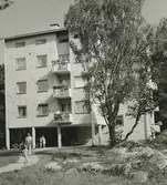 Exteriörbild. Hästhagen. Punkthus med två och trerumslägenheter.
Personer: okända