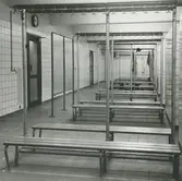 Interiör. Omklädningsrum, Hushållsporslinsfabriken.