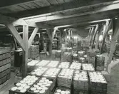 Interiör. Lastutrymme tillhörande Hushållsporslinsfabriken.