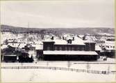 Sollefteå station. Statens Järnvägar, SJ. SJ Qr 281  