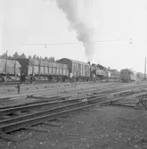 Statens Järnvägar, SJ N5 med godståg.