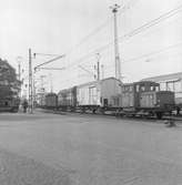 Statens Järnvägar, SJ Z43 296 med vagnar från färjan i Helsingborg.