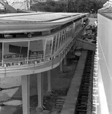 Statens Järnvägar, SJ, tågfärjeleden Trelleborg- Sassnitz 50 år. M/S Trelleborg anlöper Sassnitz