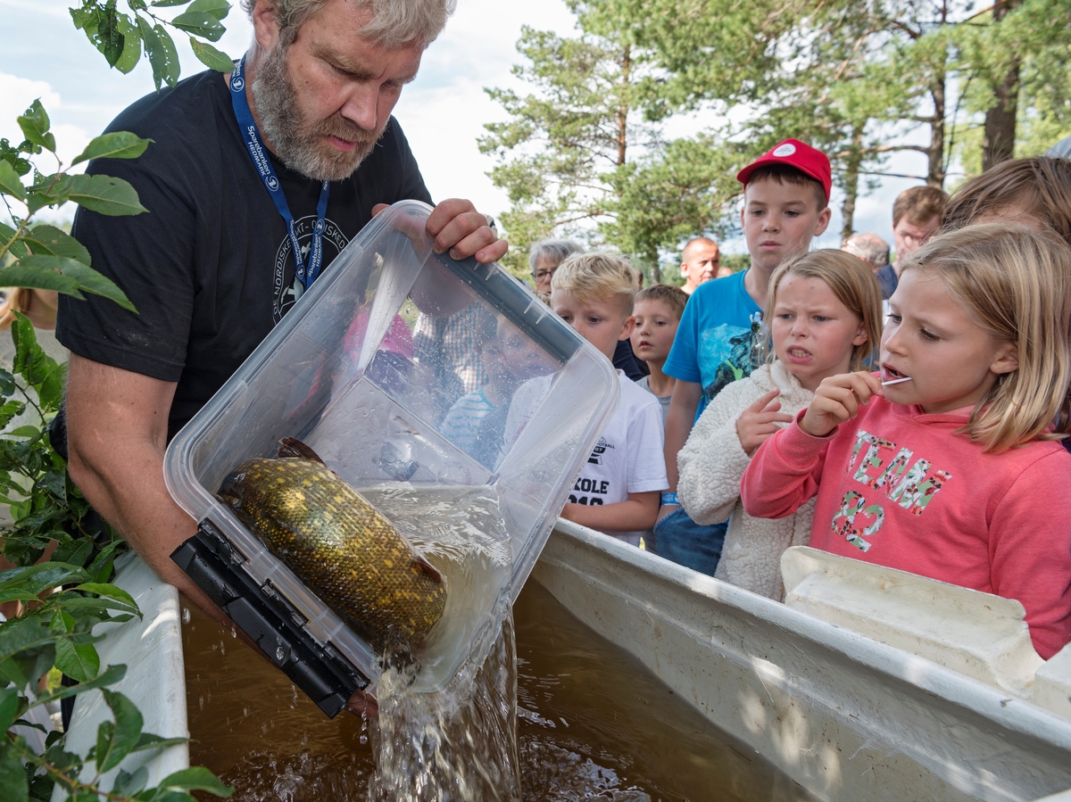 Kjetil Rukan fra Norsk Skogmuseum med ei stor gjedde på Innlandsfisketorget på Prestøya under De nordiske jakt- og fiskedager 2017 på Norsk skogmuseum. De nordiske jakt- og fiskedagene. Jakt og fiskedagene. Jakt og fiskedager. Arrangementer.