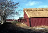 Ladugård med vasstak i Törnbotten.