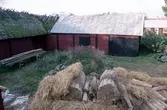 Byte av vasstak på en ladugård i Törnbotten.