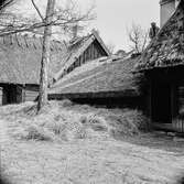 Halmtaksläggning Oktorpsgården, Skansen, 1965