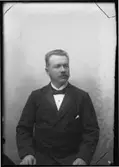 Direktör Teodor Holmberg