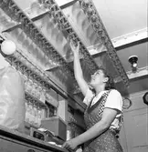 Serveringspersonal i byssan.