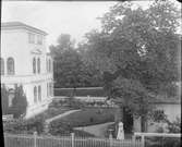 Trädgården vid Henri Ostis ateljé, Bredgränd 11, Uppsala före 1914