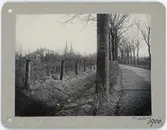 Skara med domkyrkan i bakgrunden