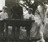Jenny och hennes tre bröder i Albäck spelar någon sorts Coronne ute i trädgården. Spelet är infattat i ett bord med nätpåsar i hörnen för spelringarna, som stöts med köer likt i biljard. Vid husgaveln i bakgrunden blommar det i rabatten.
