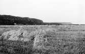 Västra Tunhem sn. Hunne- och Halleberg från Floslätten. Foto: Gustaf Ewald 1926.