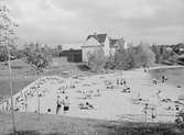 Tinnerbäcksbadet 1943