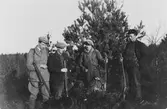 Fyra män med hagelgevär står framför en gran med jaktbyte i form av kanin eller hare.
Jägare på Bergstena mosse, nummer tre från vänster är Markus Jansson.