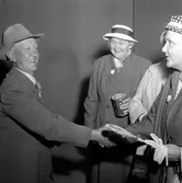 Gammaldags i Folkets park.
Augusti 1956.