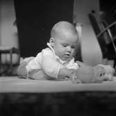 Peter Hus, Täby.
Augusti 1956.