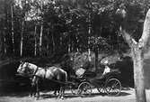 Hästspann med Emma Andersson som passagerare, Gottsunda kvarn, Uppsala sannolikt 1887
