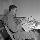 Arbetsterapi på Hålahult.
Oktober 1956.