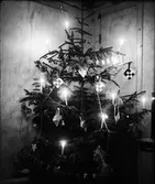 En enkel julgran står med tända stearinljus i ett hörn av stugan. Den är klädd med flätade glanspapperskorgar, smällkarameller, tunn glittergirland, flaggor och ett fåtal julkgranskulor, bl a klockor.