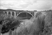 Statens Järnvägar, SJ M. Ellok med godsvagnar passerar bron. Den andra av de tre Tallbergsbroarna byggdes 1919 över Öreälven vid Tallberg. Bron består av ett bågspann och fyra valv och är byggd av armerad betong. Den första bron från  år 1891 syns i bakgrunden.