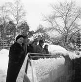 Familjen Johansson på Frösö zoo. Korad till Sveriges Järnvägsfamilj Nr 1 av SJ-NYTT i nr 11-12  år 1956.