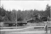 Bangården vid Alseda station.