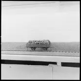 Modell av öppen godsvagn med timmer Statens Järnvägar, SJ Og 21945.