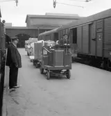 Statens Järnvägar, SJ plattformstruck, även kallad plattformstraktor, vid Göteborg centralstation.